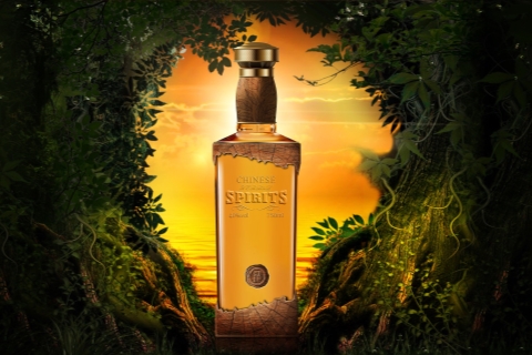 景德镇鸟巢八号夜场KTV招聘模特及酒水促销员