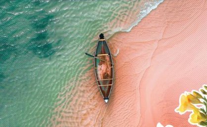 打破借口，勇敢行动，实现人生突破