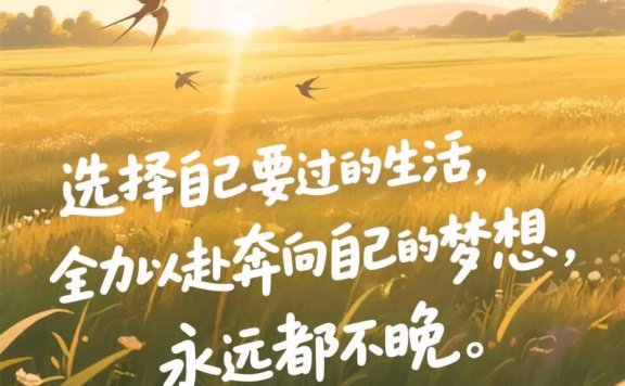 都会生活新选择 高颜值职场自由行